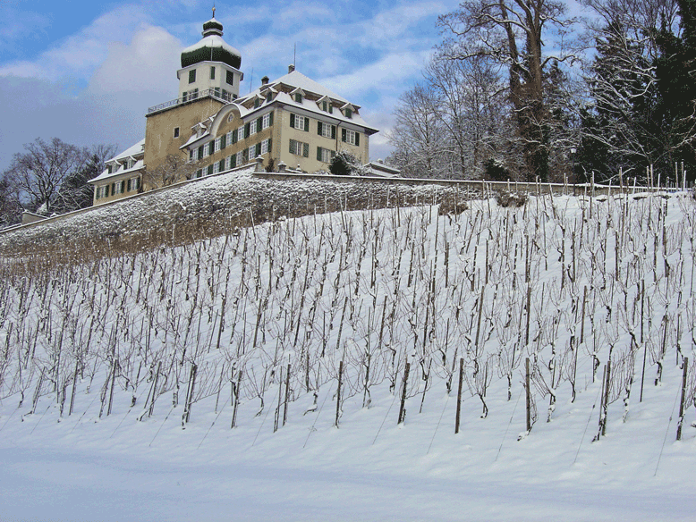 Schloss-Winter.png