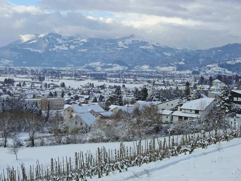 Winterlandschaft.png